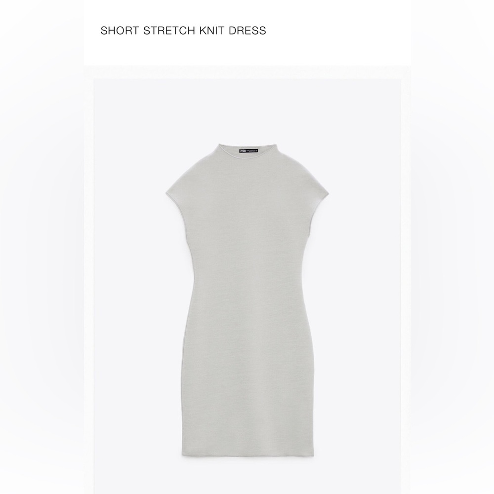 Zara Short Knit Dress